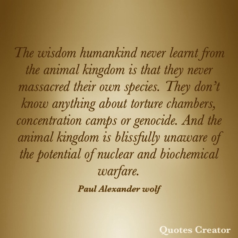 The foolishness of the Ukraine crisis in Europe, with a possible solution